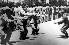 Forced Labor